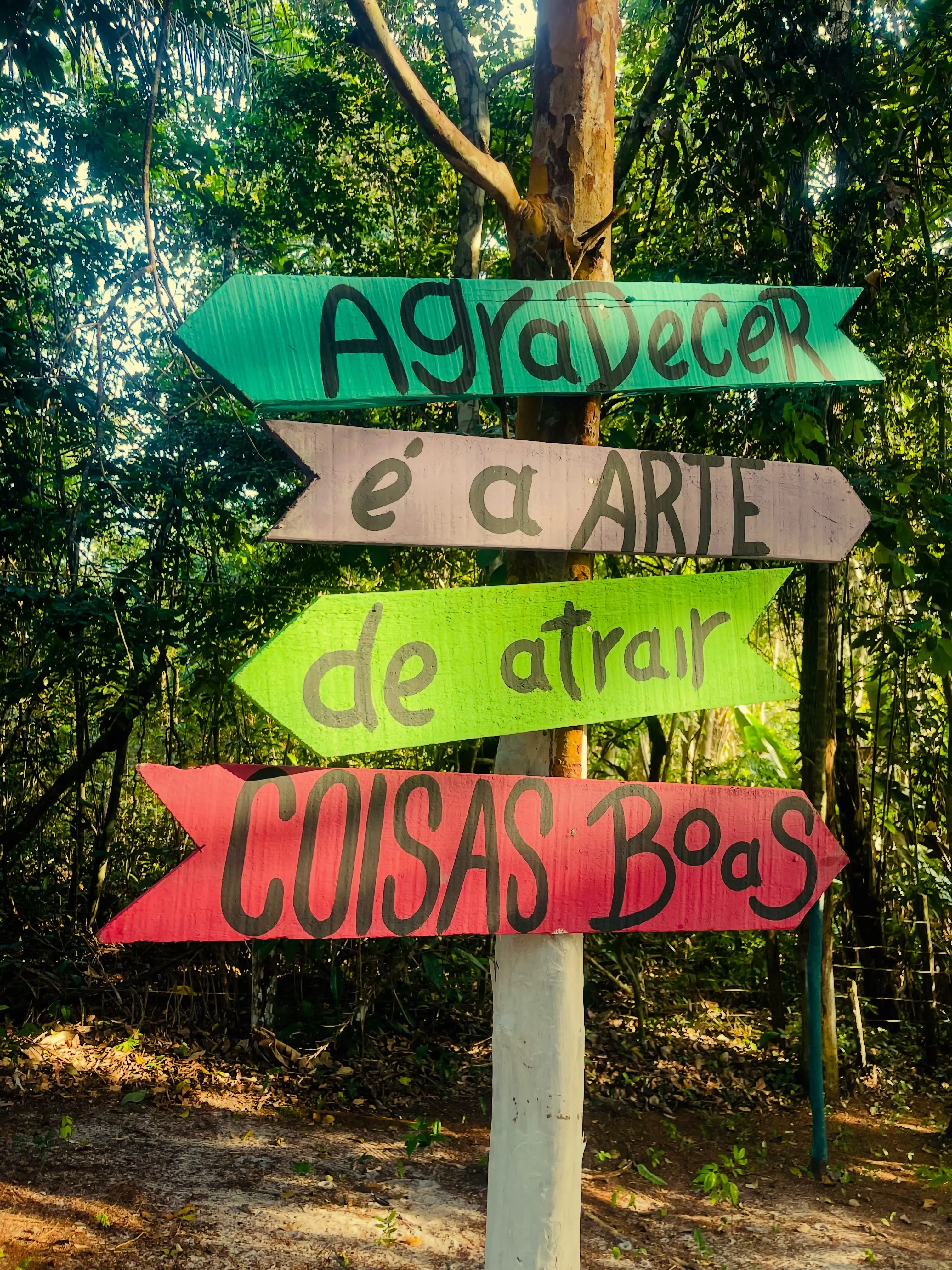 Área Verde Preservada no Balneário Esperança, Breu Branco, PA
